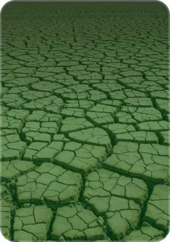 crisis