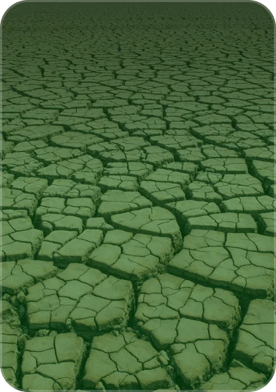 crisis