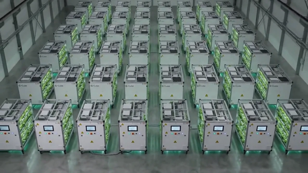 Many G-Cube cells repeated across a facility